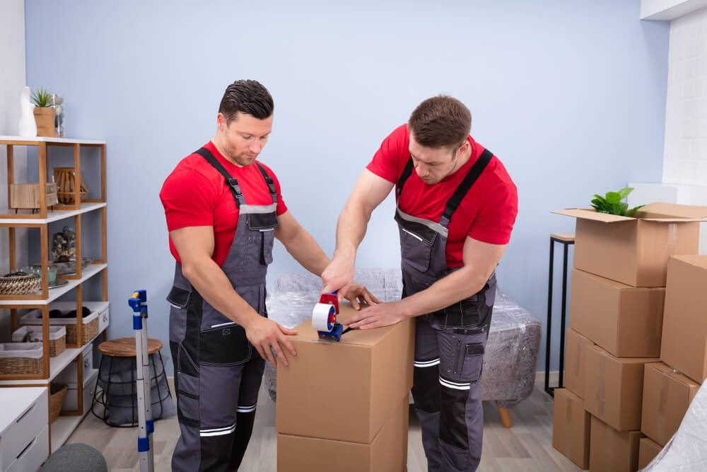 Hire Professional Packers and Movers in Abu Dhabi