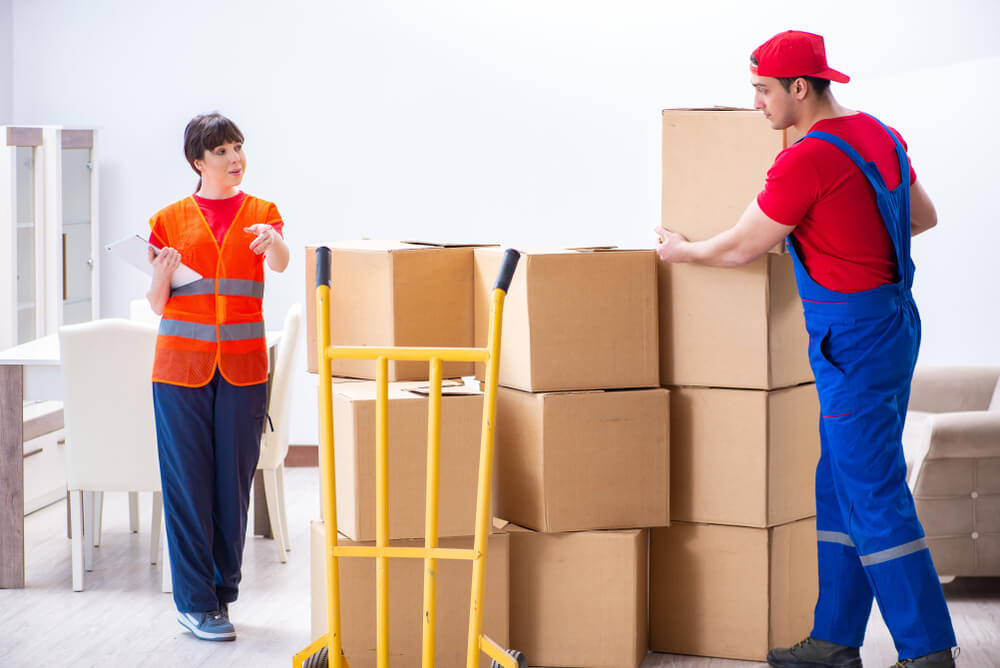 furniture movers and packers