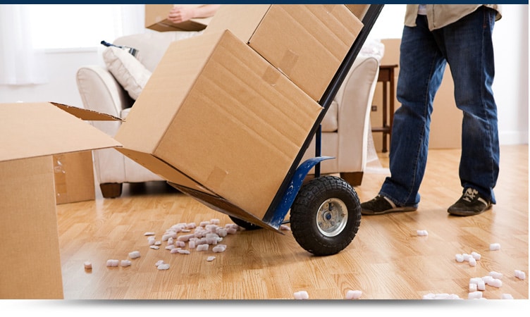 REMOVAL SERVICES