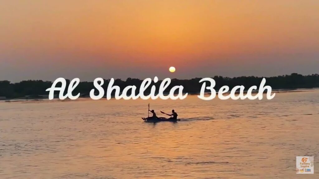 Al Shaleela Movers Abu Dhabi