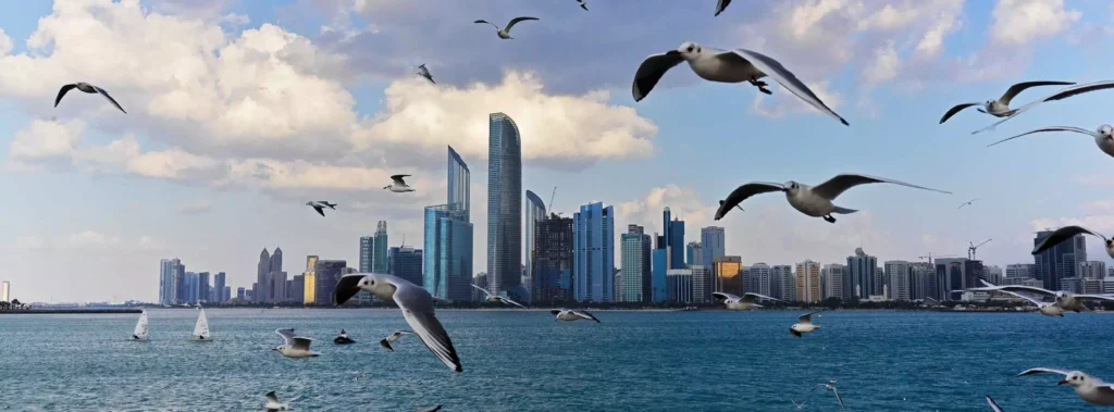 Corniche Movers Abu Dhabi
