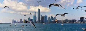 Corniche Movers Abu Dhabi